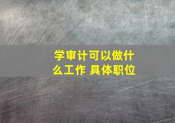 学审计可以做什么工作 具体职位